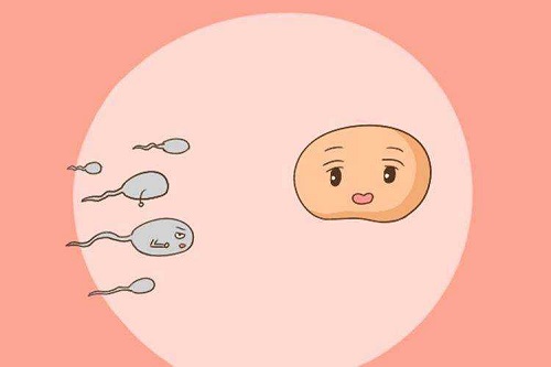 试管婴儿利弊关键的几点