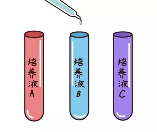 俄罗斯做试管婴儿是如何进行的