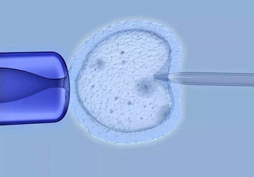 2022美国试管婴儿医院成功率与综合实力排名一览