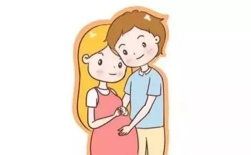 试管婴儿前期如何养好卵子