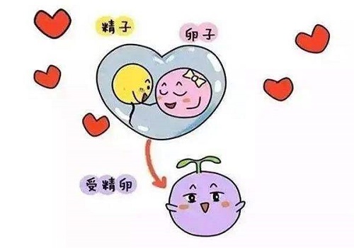 试管婴儿90%不是自己的？这到底是怎么回事呢？