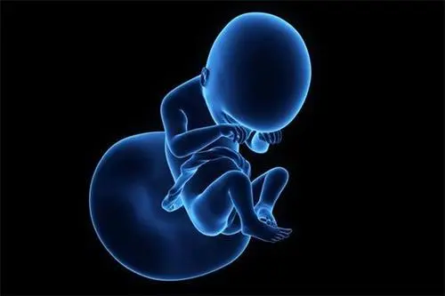 为什么试管婴儿胚胎数量总是比卵泡数量少？