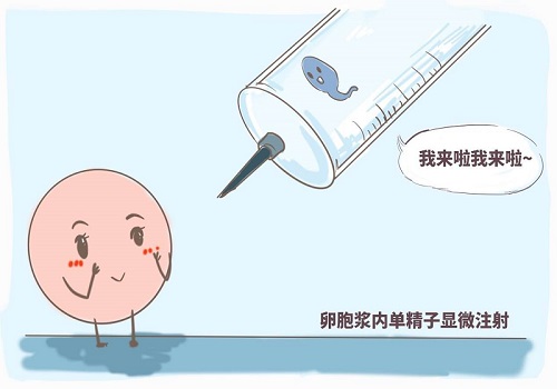 影响试管婴儿成功率的因素有哪些_3