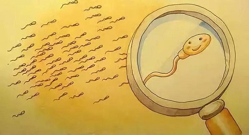 试管婴儿出生的孩子聪明吗？