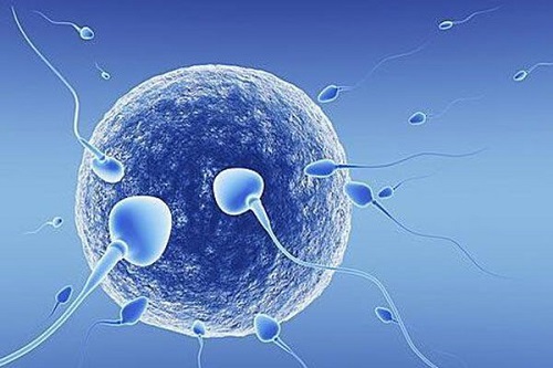 美国试管婴儿周期为何要使用促排卵药？