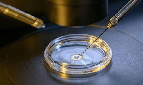 试管婴儿90%不是自己的？这谣言未免太荒谬