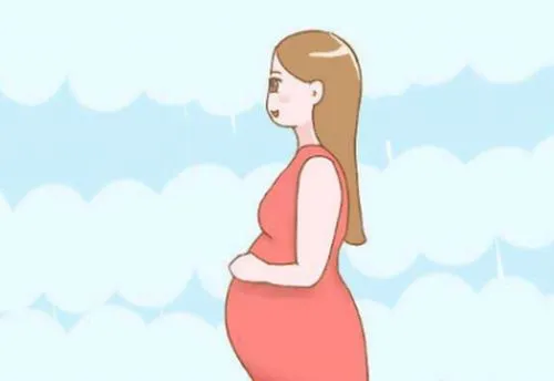 试管婴儿中怎么知道精子与卵子受精成功
