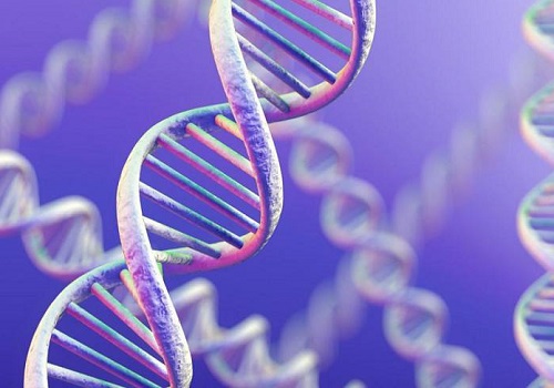 不孕不育做美国试管婴儿多少钱能成功