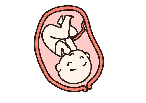 试管婴儿内膜厚度达到多少适合移植？