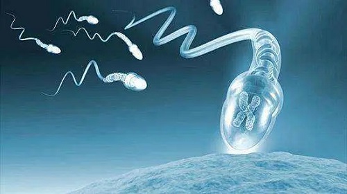 试管婴儿三代能筛查什么病？能筛查多少种？
