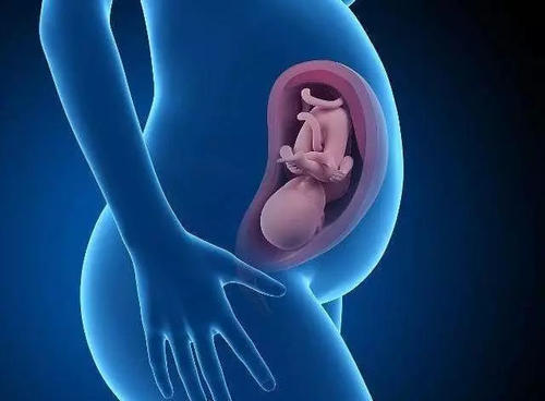 试管婴儿医院成功率如何，谁的更高？