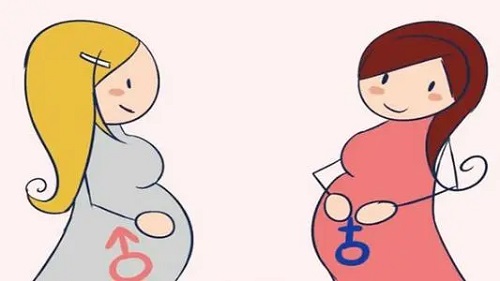泰国试管婴儿中介服务费怎么收？收多少？