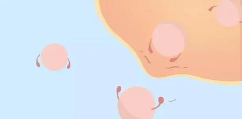 试管囊胚有分等级吗？什么样的胚胎更好？