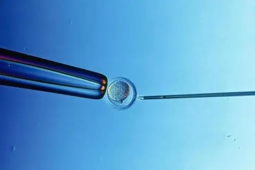 试管婴儿90%不是自己的？这谣言未免太荒谬