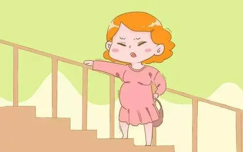 试管婴儿前期准备之如何提高卵子质量