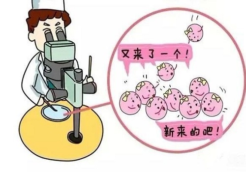 试管婴儿什么时候可以纳入医保？