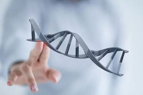 试管婴儿前期检查项目，AMH和性激素六项不一样