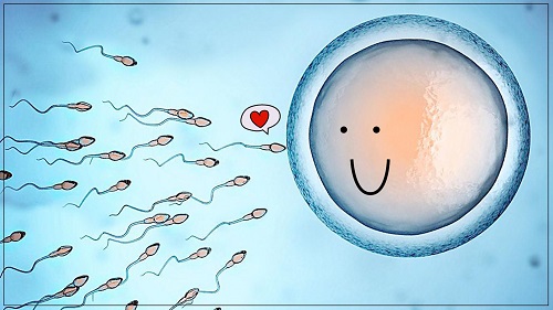 试管婴儿胚胎移植过程注意事项是什么？