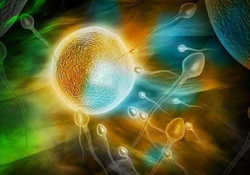 做美国试管婴儿，对男性精子质量的要求是什么？